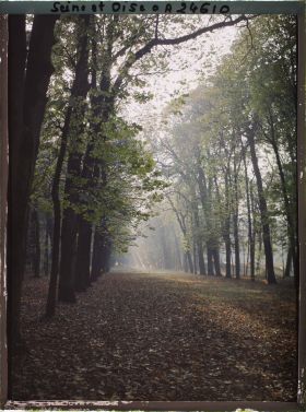 Image représentant Une allée dans le parc