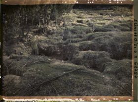 Image représentant Ile de France, Vallangoujard, Terriers de Lapins