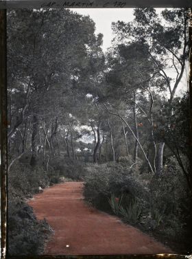 Image représentant Vue de l'allée près de l'entrée