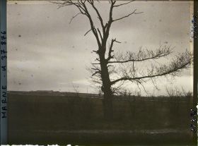 Image représentant France, La Pompelle, Fort de la Pompelle vu de l'Allée noire