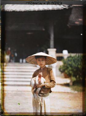 Image représentant Un jeune éleveur de coqs de combat