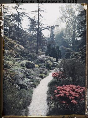 Image représentant Azalées en fleurs au bord d'une allée du " sanctuaire japonais " menant au " village japonais "