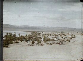Image représentant Le camp des forces anglo-arabes, au bord du golfe d'Aqaba