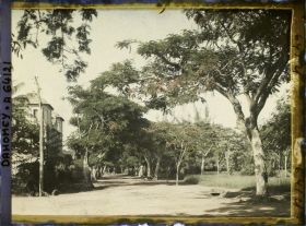 Image représentant Une allée de la Résidence du gouverneur