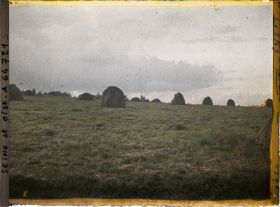 Image représentant Ile de France, Maffliers, Soir d'orage sur les champs