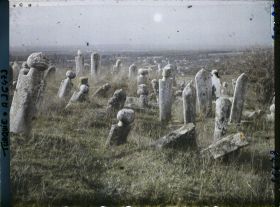 Image représentant Cimetière musulman (tombes et colonnes funéraires plantées sur une surface herbeuse)