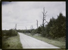 Image représentant France, Binarville (Meuse), Aspect de la route de Vienne à Binarville