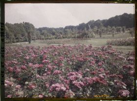 Image représentant Propriété de madame Douine