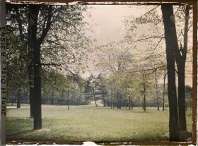 Image représentant Dans le parc