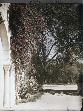Image représentant Les jardins du palais du Bardo