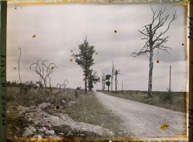 Image représentant France, La Tête à Vache, Route de St Mihiel à Apremont à la hauteur du Chemin de la Louvière