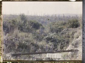 Image représentant France, La Harazée, Début du Secteur Marie-Thérèse, Bois de la Gruerie