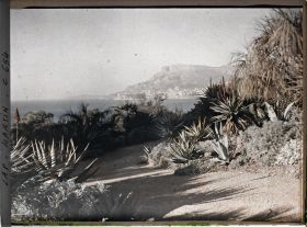 Image représentant Allée de Miramar vue sur Montecarle