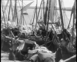 Image représentant Le port du vieux Caire