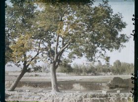 Image représentant Afghanistan, Tchil-zou-Toun, Paysage vers le Palais