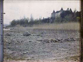 Image représentant Site palafittique préhistorique des Alpes, pieux en bois visibles lors de la baisse des eaux après la grande sécheresse de 1921. Le château de Grandson.