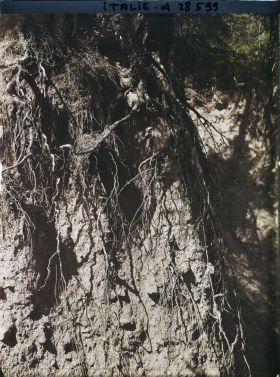 Image représentant Les Pyramides de terre (ou Cheminées de Fées) de Renon
