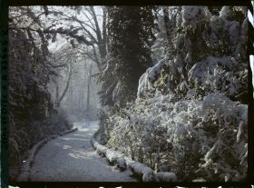 Image représentant Une allée du jardin du trocadéro sous la neige