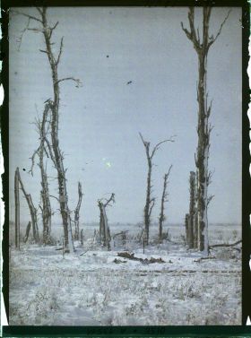 Image représentant France, Crapeaumesnil, Le Calvaire conservé comme vestige historique