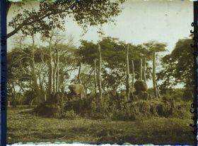 Image représentant Tertre de guerre des rois du Dahomey