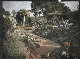 Image représentant Cap-Martin - Le Jardin