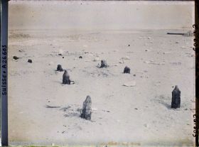 Image représentant Site palafittique préhistorique des Alpes, pieux en bois visibles lors de la baisse des eaux après la grande sécheresse de 1921 sur le lac de Neuchâtel