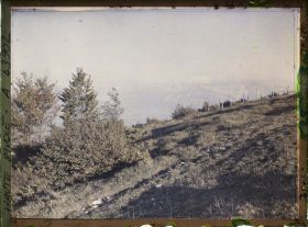 Image représentant France, Le Salève, Paysage au sommet du Gd Salève, au fond, la Chaîne des Alpes