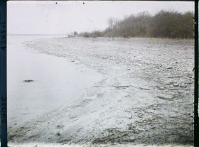 Image représentant Site palafittique préhistorique des Alpes, pieux en bois visibles lors de la baisse des eaux après la grande sécheresse de 1921