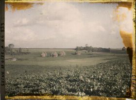 Image représentant Seine et Oise, Domont, Betteraves et meules de blé