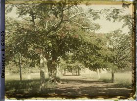 Image représentant Entrée de la Résidence du gouverneur