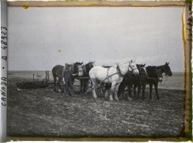 Image représentant Canada, Gravellebourg, Ferme Alfred Beauchêne- Semeuse à 6 Chevaux