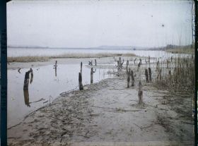 Image représentant Site palafittique préhistorique des Alpes, pieux en bois visibles lors de la baisse des eaux après la grande sécheresse de 1921