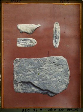 Image représentant France, St Germain-en-Laye, Musée : Grotte de St Marcel (Indre) Renne Gravé s/ schiste. Pendeloque de bois de Cerfs, 1 tête de Cheval à Contour découpé, 1 petit animal Courant à gauche.