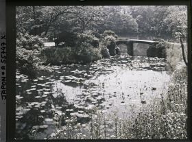 Image représentant Koishikawa Kôrakuen (jardin de l'Arsenal), le bassin des lotus (hasu-ike)