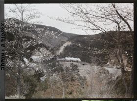 Image représentant Cerisiers en fleurs et paysages de montagne