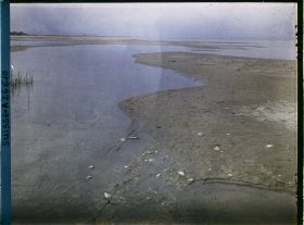 Image représentant Site palafittique préhistorique des Alpes, pieux en bois visibles lors de la baisse des eaux après la grande sécheresse de 1921 sur le lac de Neuchâtel