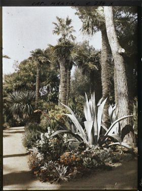 Image représentant Cap-Martin - Le Jardin