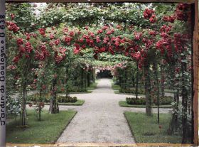 Image représentant Axe central du verger-roseraie vu en direction de la dépendance, à proximité du jardin français