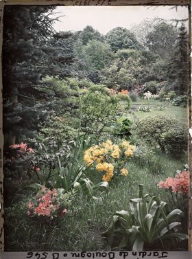 Image représentant Partie du marais cerné d'arbustes colorés, vue vers le nord-est, depuis un espace herbacé et fleuri
