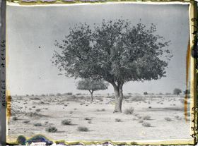 Image représentant Un aspect de la daya