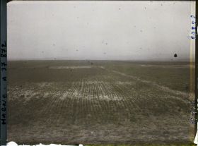 Image représentant France, La Pompelle, Jeune blé laissant voir la trace des tranchées