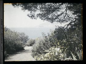 Image représentant le Jardin vue sur Menton