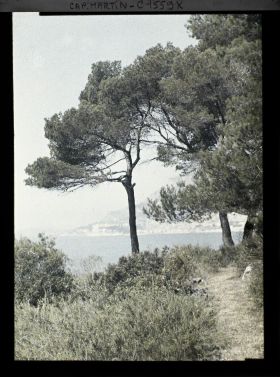 Image représentant Chemin situé en partie basse du jardin, vu en direction de Monaco