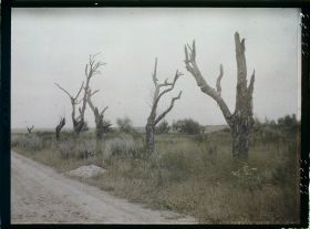 Image représentant France