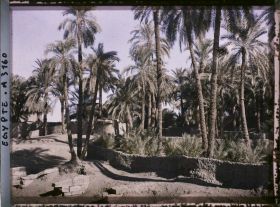 Image représentant Sur la route de Louqsor à Karnak