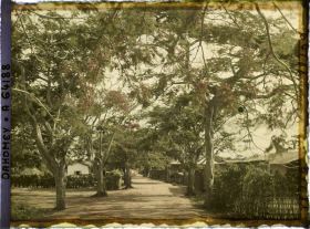 Image représentant La route d'Adjohoun