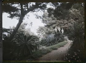 Image représentant Une partie du jardin de la villa Miramar, vue en direction de Monaco