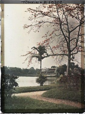 Image représentant Une vue depuis la rive du Petit Lac, près du temple Ngoc-so'n (appelé par les Européens " Pagode des Pinceaux ") avec à droite, un kapokier en fleurs