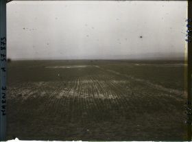 Image représentant France, La Pompelle, Jeune blé laissant voir la trace des tranchées