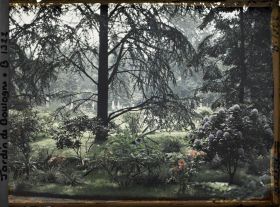 Image représentant Rhodos dans la forêt bleue, à l'arrière-plan le marais